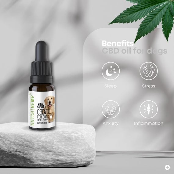 CBD-oil-4-for-dogs-1