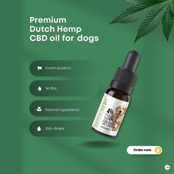 CBD-oil-4-for-dogs-2