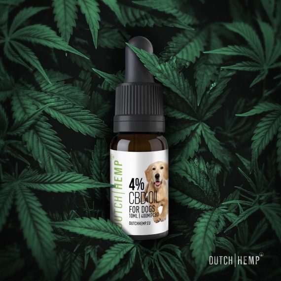 CBD-oil-4-for-dogs-3